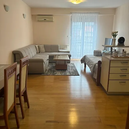 Apartamento Vranjkovic *